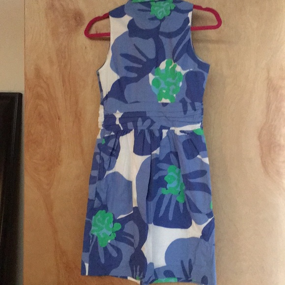 Lilly Pulitzer Essie Dress - Picture 4 of 8